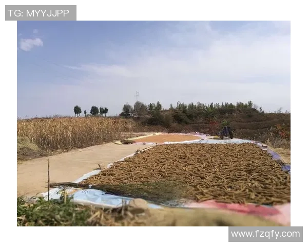 桌上足球球星风采展现 各国高手争锋竞技魅力尽显